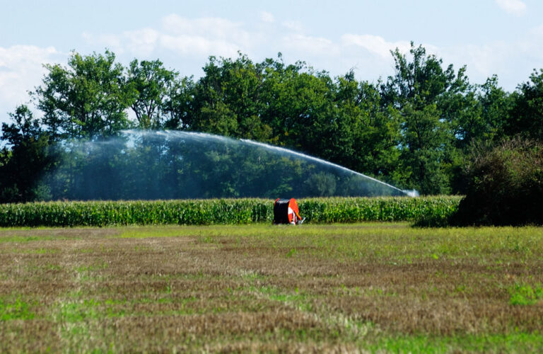 Réseau31 accompagne les agriculteurs