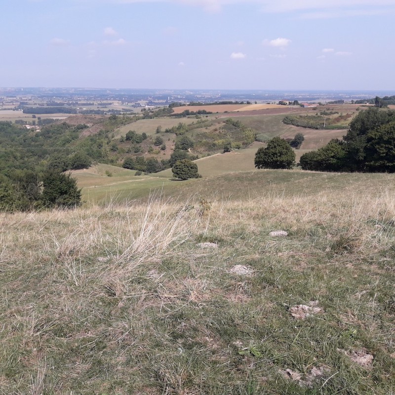 Lire la suite à propos de l’article MODERNISATION ET RENFORCEMENT DE LA DISTRIBUTION DE L’EAU POTABLE EN VOLVESTRE ENTRE LES RIVIÈRES GARONNE, SALAT ET ARIZE : RÉSULTAT DE LA CONCERTATION PUBLIQUE.