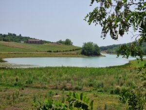 Lac de la Balerme géré par Réseau31