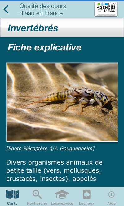 ecran-invertebre-appli-riviere